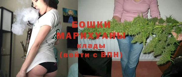 индика Горнозаводск