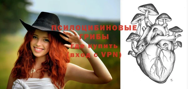 индика Горнозаводск