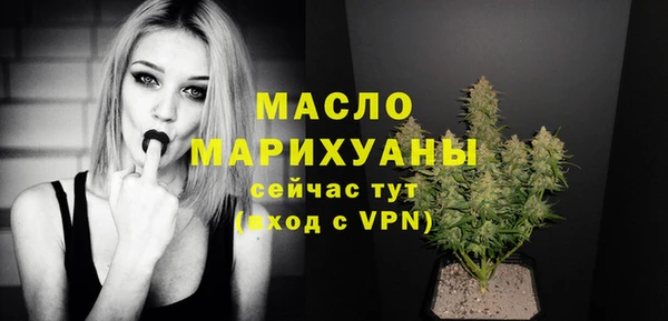 индика Горнозаводск