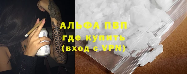 спиды Горняк