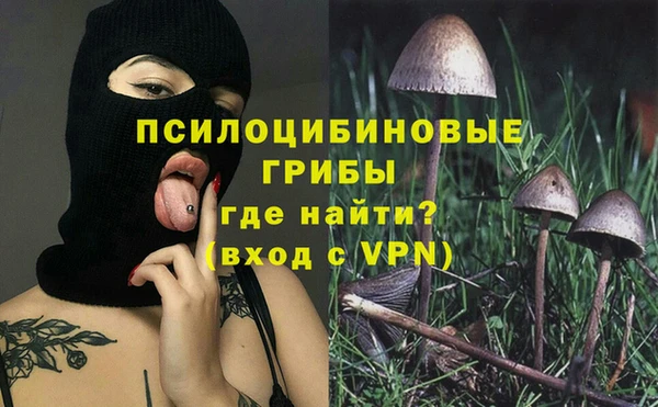 сатива Вязьма