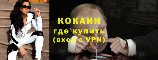 сатива Вязьма