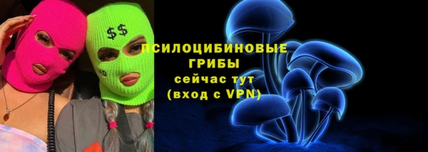 сатива Вязьма