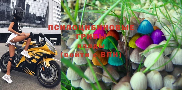 индика Горнозаводск