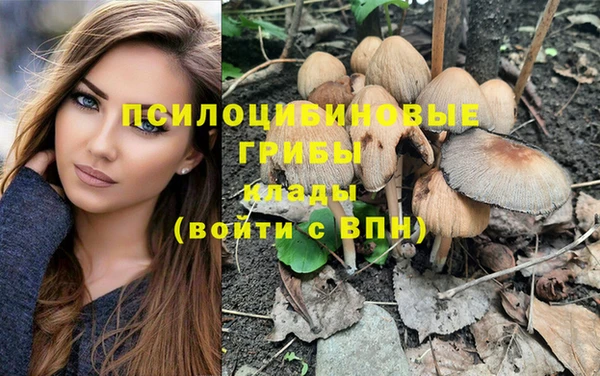 индика Горнозаводск