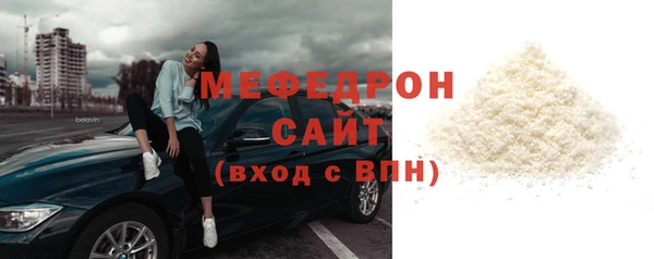 индика Горнозаводск