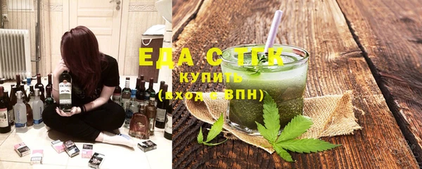 индика Горнозаводск