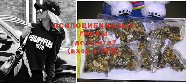 хмурый Вязники