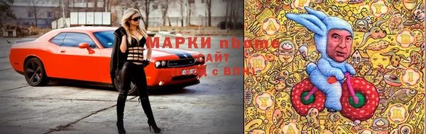 индика Горнозаводск