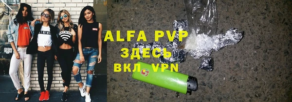 индика Горнозаводск