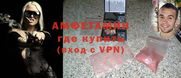индика Горнозаводск