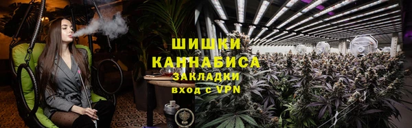 спайс Вяземский